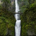 The Government's Role in Protecting the Environment in Multnomah County, Oregon