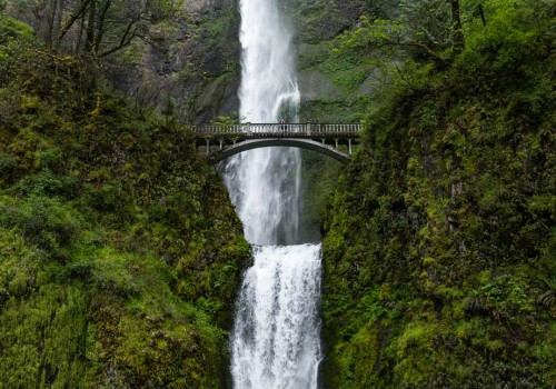 The Government's Role in Protecting the Environment in Multnomah County, Oregon